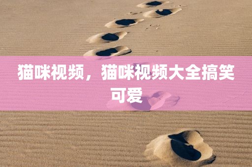 猫咪视频，猫咪视频大全搞笑可爱