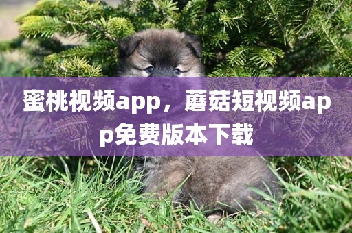 蜜桃视频app，蘑菇短视频app免费版本下载