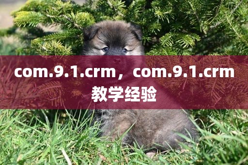 com.9.1.crm，com.9.1.crm教学经验