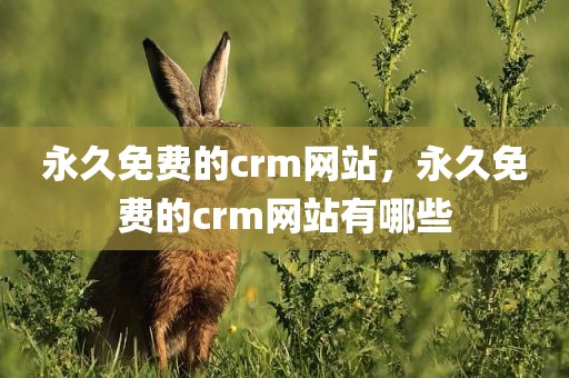 永久免费的crm网站，永久免费的crm网站有哪些
