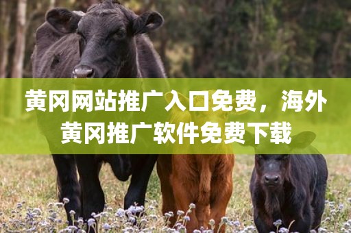 黄冈网站推广入口免费，海外黄冈推广软件免费下载