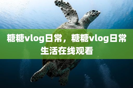 糖糖vlog日常，糖糖vlog日常生活在线观看