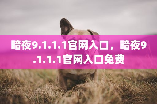 暗夜9.1.1.1官网入口，暗夜9.1.1.1官网入口免费