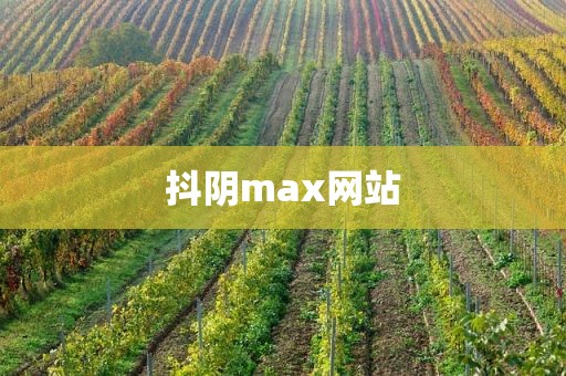 抖阴max网站