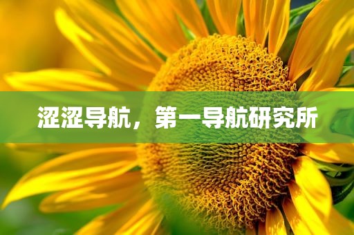 涩涩导航，第一导航研究所