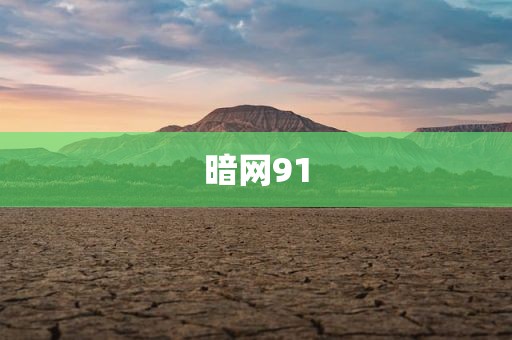 暗网91