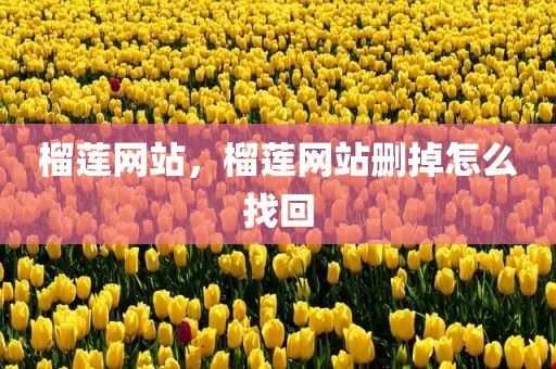 榴莲网站，榴莲网站删掉怎么找回
