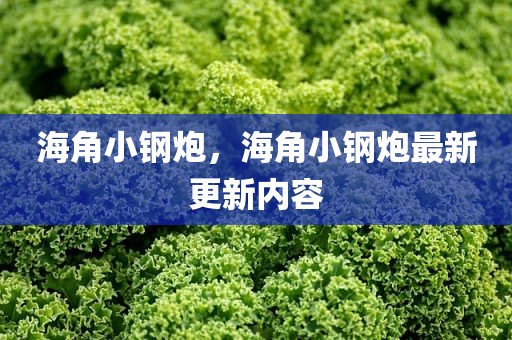海角小钢炮，海角小钢炮最新更新内容