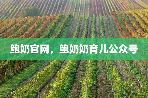 鲍奶官网，鲍奶奶育儿公众号