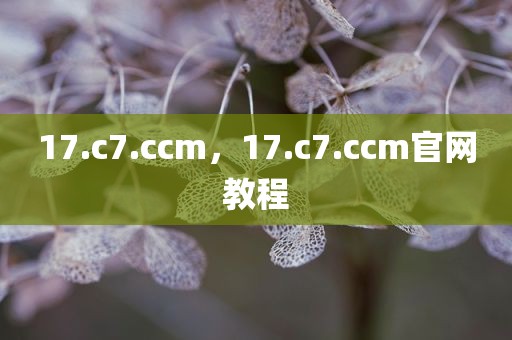17.c7.ccm，17.c7.ccm官网教程