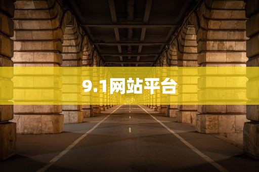 9.1网站平台