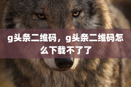 g头条二维码，g头条二维码怎么下载不了了