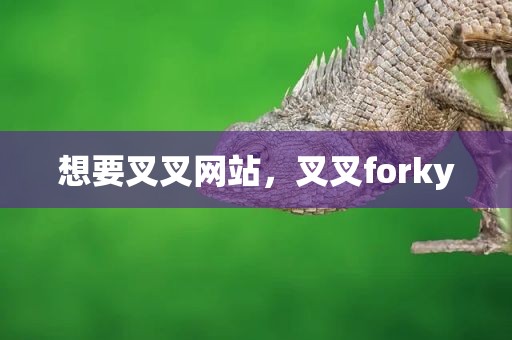 想要叉叉网站，叉叉forky