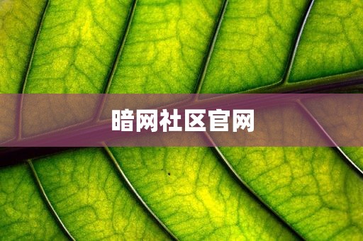 暗网社区官网