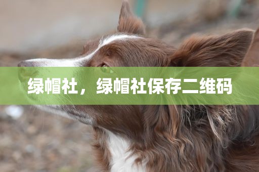 绿帽社，绿帽社保存二维码