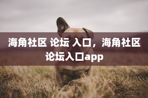 海角社区 论坛 入口，海角社区论坛入口app