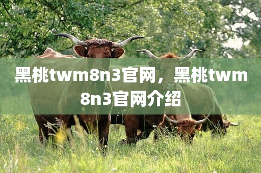 黑桃twm8n3官网，黑桃twm8n3官网介绍