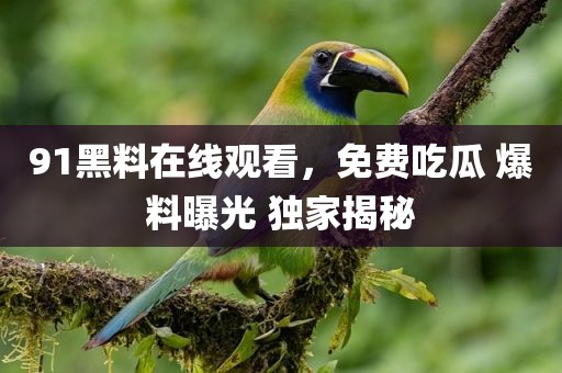 91黑料在线观看，免费吃瓜 爆料曝光 独家揭秘