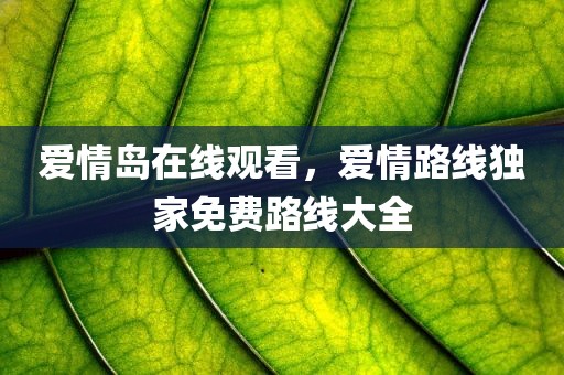 爱情岛在线观看，爱情路线独家免费路线大全