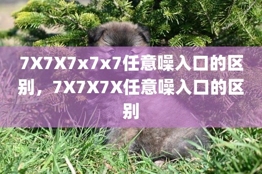 7X7X7x7x7任意噪入口的区别，7X7X7X任意噪入口的区别