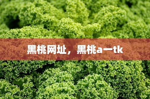 黑桃网址，黑桃a一tk