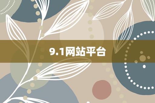 9.1网站平台