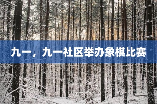 九一，九一社区举办象棋比赛