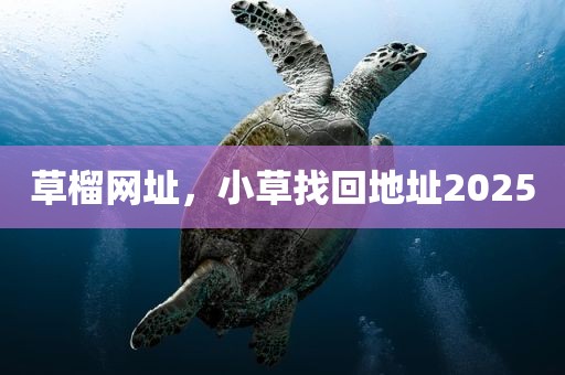 草榴网址，小草找回地址2025