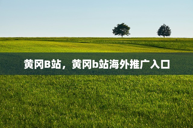 黄冈B站，黄冈b站海外推广入口