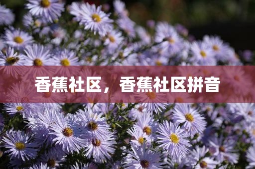 香蕉社区，香蕉社区拼音