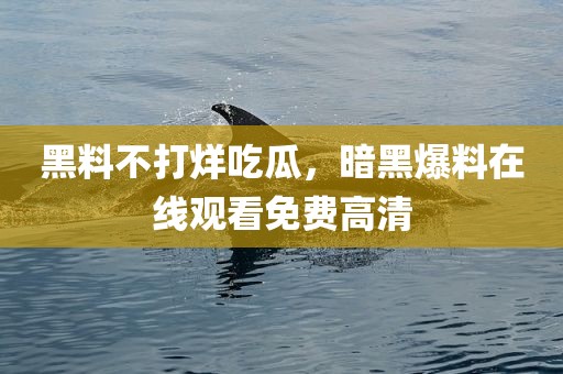 黑料不打烊吃瓜，暗黑爆料在线观看免费高清