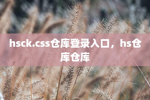 hsck.css仓库登录入口，hs仓库仓库