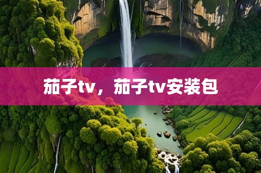 茄子tv，茄子tv安装包