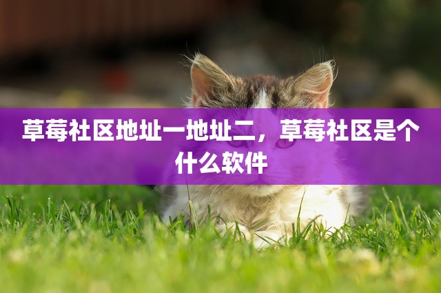 草莓社区地址一地址二，草莓社区是个什么软件
