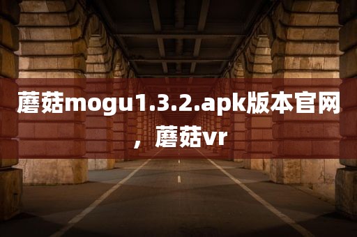 蘑菇mogu1.3.2.apk版本官网，蘑菇vr