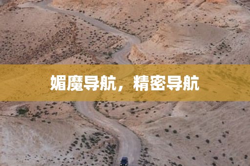 媚魔导航，精密导航