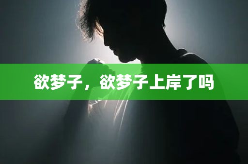欲梦子，欲梦子上岸了吗
