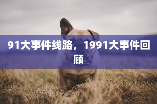 91大事件线路，1991大事件回顾