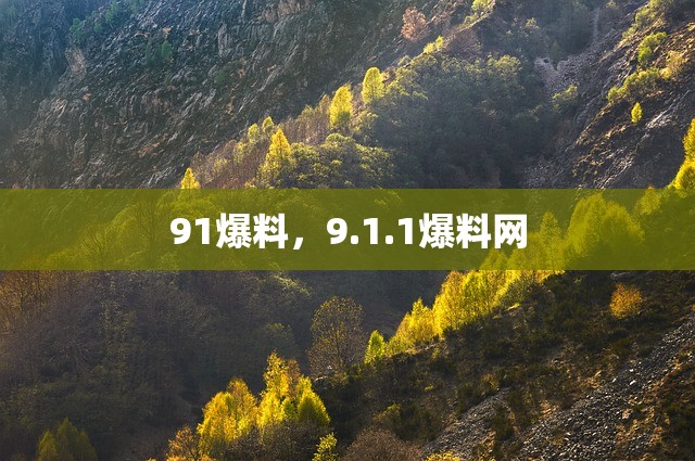 91爆料，9.1.1爆料网