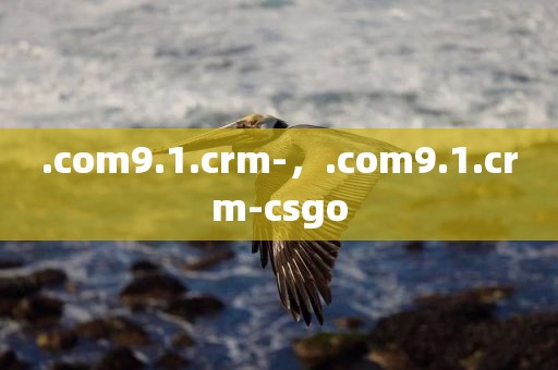 .com9.1.crm-，.com9.1.crm-csgo