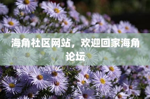海角社区网站，欢迎回家海角论坛