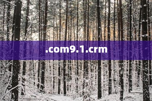 .com9.1.crm