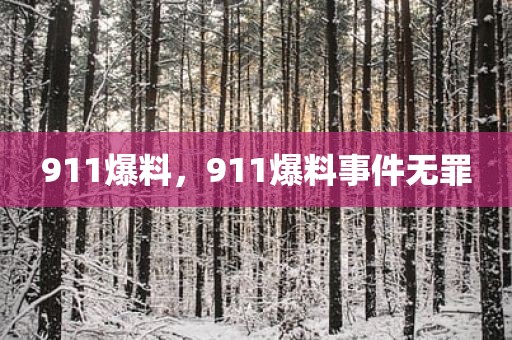 911爆料，911爆料事件无罪