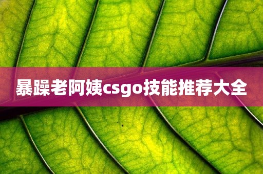 暴躁老阿姨csgo技能推荐大全