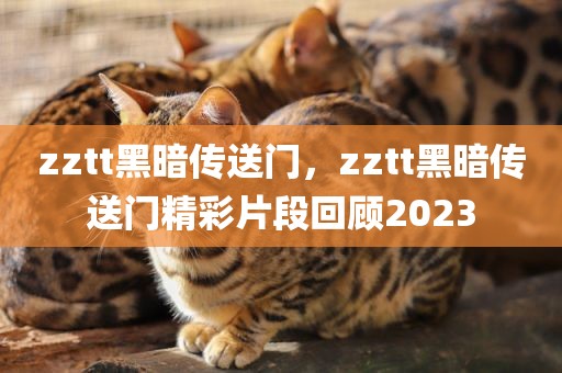 zztt黑暗传送门，zztt黑暗传送门精彩片段回顾2023