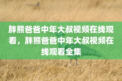 胖熊爸爸中年大叔视频在线观看，胖熊爸爸中年大叔视频在线观看全集
