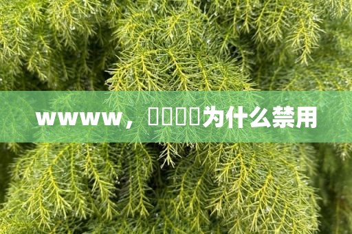 wwww，卐卍卍卐为什么禁用