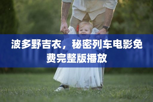 波多野吉衣，秘密列车电影免费完整版播放