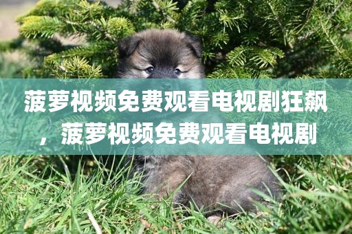 菠萝视频免费观看电视剧狂飙，菠萝视频免费观看电视剧