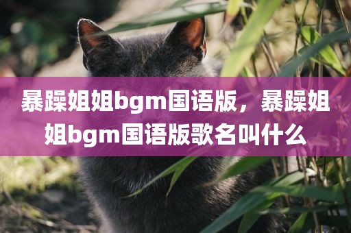 暴躁姐姐bgm国语版，暴躁姐姐bgm国语版歌名叫什么